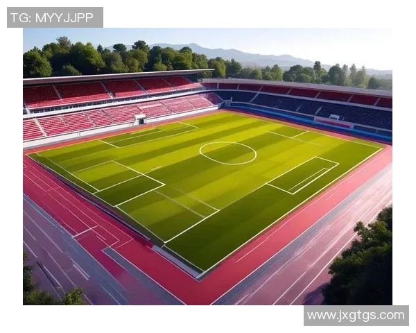 足球场上的明星区域解析：球员聚焦点与比赛走势的关键影响